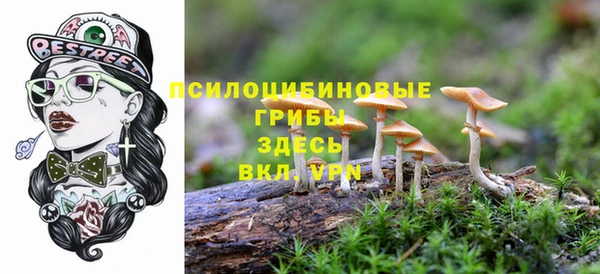 амфетамин Аркадак
