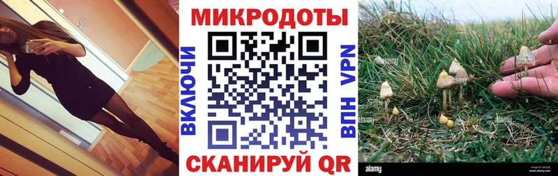 купить   Лангепас  Псилоцибиновые грибы прущие грибы 